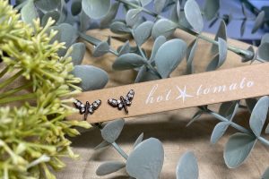 Dragon Fly Stud Earrings